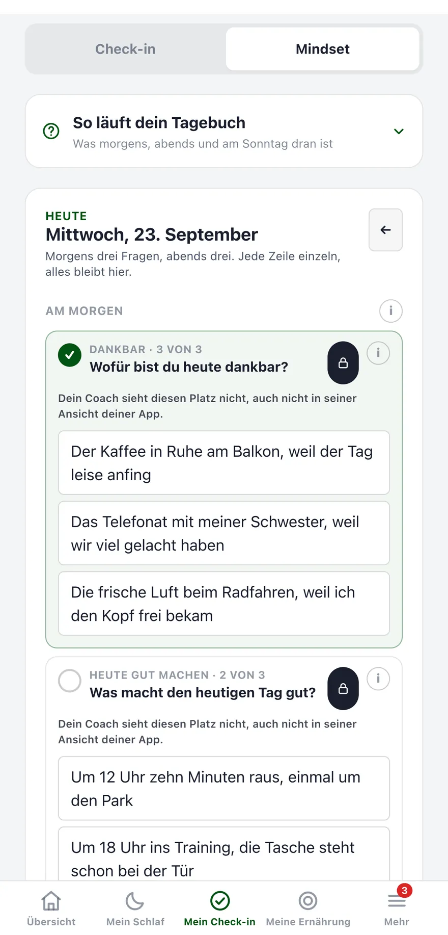 Register Mindset unter Check-in mit den Einträgen des Tages